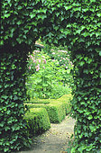 Garden entrance. English Ivy (Hedera helix)
