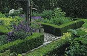 Aromatic garden with Sage (Salvia sp), Oregano (Origanum vulgare), Chamomile (Chamaemelum sp), Garden of Mr and Mrs Deferme, Belgium