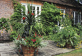 Terrace with red and yellow flower pots, The Old Rectory, England