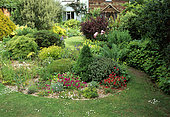 Small rock garden with Hebe (Hebe sp), Spirea (Spiraea sp), Maple (Acer sp) in summer, Church Hill Cottage, England