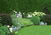 Lawn lined with shrubs and perennials, Upton House, England