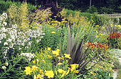 Yellow flower bed with Phormium (Phormium sp), Fernleaf yarrow (Achillea filipendulina) 'Gold Plate', Milky Bellflower (Campanula lactiflora), Hemerocalle (Hemerocallis sp) in summer, Le Château de Touffu, France