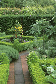 Mediterranean vegetable garden with paved alley, trimmed hedge, low box hedge (Buxus sp) and lemon tree (Citrus limon) in pot. The Old Rectory, Great Britain.