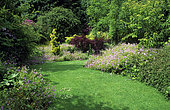 Rustic turf and bed of Geraniums and shrubs