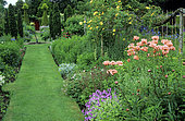 Turfgrass with Poppy (Eastern Papaver), Horned pansy (Viola cornuta), Roses (Rosa sp), Biggar Park, England