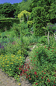 Perennial Flowerbed with Cinquefoil (Potentilla sp), Sage (Salvia sp), Bellflower (Campanula sp), Chilcombe, Dorset, England, Spring-Summer
