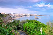 General view on the city of Biarritz, large beach, from the Pointe Saint Martin, urbanization and real estate in the background and cliffs consolidated by vegetation in the foreground. Aquitaine, France