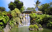 The cascade of the botanical garden of Deshaies, Basse Terre, Guadeloupe