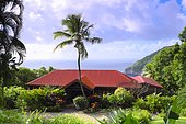 Villa of the botanical garden of Deshaies called Coluche villa, overlooking the beautiful bay of Deshaies and the Caribbean Sea. The villa can accommodate up to 10 people, it is rented, Guadeloupe