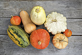 Harvest of various squash on a wooden table