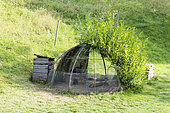 Rabbit hutch in a garden, summer, Moselle, France