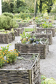 Vegetables growing in square foot gardens with hazel wood weave