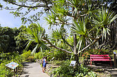 Botanical Garden Deshaies located in the town of Deshaies, Basse-Terre, Guadeloupe. Property of 7 hectares that belonged to different owners including Coluche who bought the property in 1979