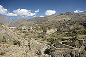 Cultures andines traditionnelles en terrasses, Vallée du Rio Colca, environs de Maca, Région d'Arequipa, Pérou