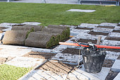 Realization of a tiling and setting up rolls of grass in a garden, spring, Pas de Calais, France