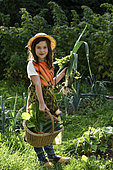9 years old girl with basket an clogs harvesting vegetables in vegetable garden, Belfort, Territoire de Belfort, France