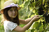 9 years old girl and vine in garden, Belfort, Territoire de Belfort, France