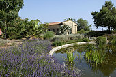 Landscaped park Fernand Braudel, basin and lavandin, Les Sablettes, La Seyne sur Mer, Var, France