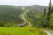 Dalton Highway : de Fairbanks à Prudhoe Bay, Trans Alaska Pipeline System (TAPS), En automne le pipeline dans son trajet aérien au sud de la chaine de Brooks (Brooks Range) et du col d' Atigun (Atigun Pass ,mile 244 )