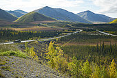 Dalton Highway : de Fairbanks à Prudhoe Bay, Trans Alaska Pipeline System (TAPS), En automne le pipeline dans son trajet aérien au sud de la chaine de Brooks (Brooks Range) et du col d' Atigun (Atigun Pass ,mile 244 ), Alaska, USA