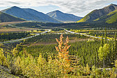 Dalton Highway : from Fairbanks to Prudhoe Bay,,The road and the pipeline, Alaska, USA