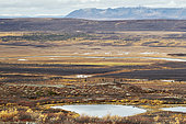 Alaska Range in autumn, Denali Highway: from Paxson to Cantwell, Alaska, USA