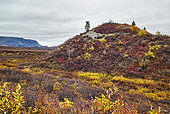 Eskers : formations géologiques datant de la dernière glaciation en automne, Denali Highway : de Paxson à Cantwell, Alaska, USA
