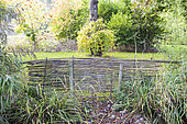 Bamboo palisade in a garden, autumn, Somme, France