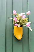 Flowered hoof with tulips, in a garden in autumn, Germany
