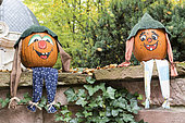 Decorated pumpkins for Halloween, Germany