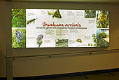Invasive Species Information at Anchorage Airport, Alaska, USA