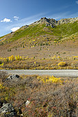 Savage river and colors of late autumn in the park, Denali National Park, Alaska, USA