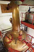 Edradour Distillery’s wash still, Highlands, Scotland, United-Kingdom