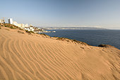 Urbanization on the Concon dune, Valparaiso in the background, V Region of Valparaiso, Chile