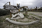 Whale's bones, Puerto Piramides, Golfo Nuevo, Peninsula Valdes, Chubut, Patagonia, Argentina, Atlantic Ocean