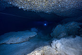 Diver in an underwater cave, Mayotte, Indian Ocean
