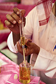 Rose perfume (Rosa damascena), Taif, Saudi Arabia