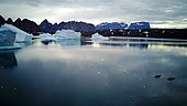Kayaks and Icebergs, Bear's Archipelago, East Coast Greenland