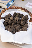 Truffles in a wicker basket at a market, summer, Provence, France