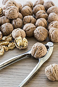 Harvest walnut from a walnut tree, summer, Moselle, France