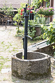 Old well in a garden, summer, Alsace, France