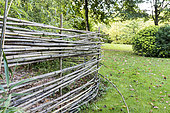 Bamboo palisade in a garden, autumn, Somme, France