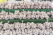 Tarn pink garlic on a market stall, summer, Provence, France