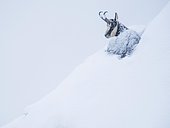 Chamois (Rupicapra rupicapra) sits in the snow on a steep slope, Berchtesgaden Alps, Austria, Europe