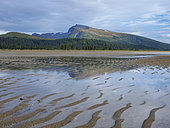 Rivage de sable et montagne, Centre-sud de l'Alaska. USA