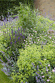 Perennial combination