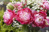 Bouquet de printemps avec Cerfeuil et Tulipe