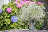 Bouquet of Gypsophila (Gypsophila sp) on a garden table, France