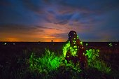 Bioluminescent larvae of Headlight Beetles (Pyrophorus nyctophanus) attracting flying termites on a termite mound, Emas National Park, Brazil Highly commended NPOTY 2016
