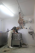 Man in his organic poultry slaughterhouse, Provence, France